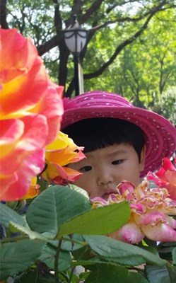 【美丽的ta】花儿与少年