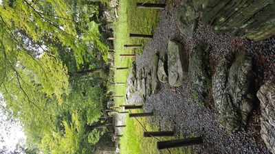 【恋之风景】名古屋城一景