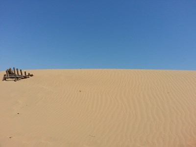 【恋之风景】我眼中的大漠