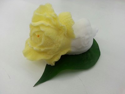 盐白菜