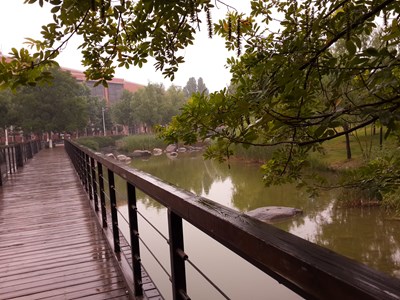 喜欢雨后湿润清新的味道