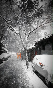 京城瑞雪