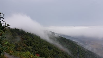 惠山晨雾