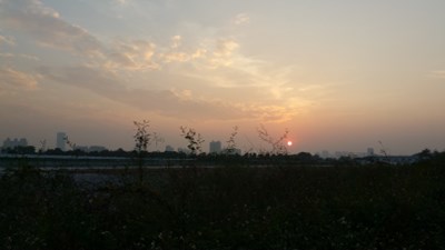 夕阳，太远拍不了