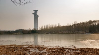 萧条中充满生机
