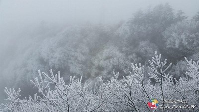 【隆冬百态】+峨眉+金顶雪景