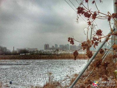 【隆冬百态】+绥芬河+没有厚厚的雪怎么能叫冬天