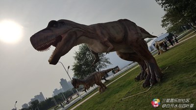 【隆冬百态】+北京+勇闯侏罗纪