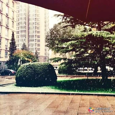 【隆冬百态】+北京+我的小雨伞