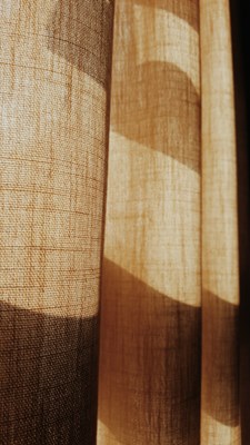 隆冬百态+海南+窗外