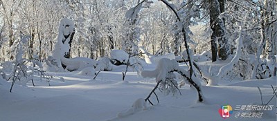 【隆冬百态】+二浪河+雪