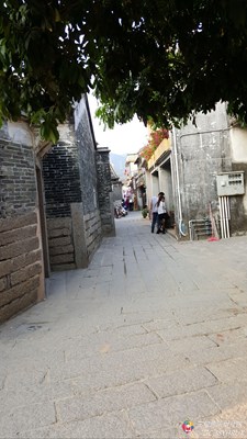 试试看看