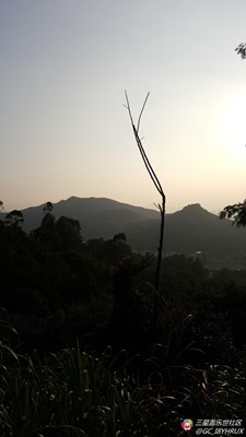 夕阳无限好…