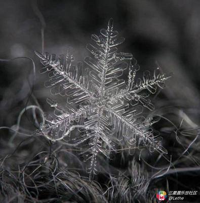 雪花