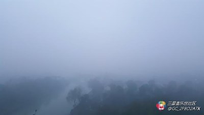 【隆冬百态】 杭州 雨中的西溪湿地