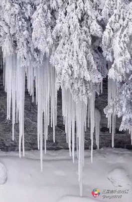 雪