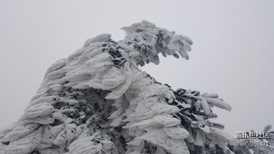 冰天雪地