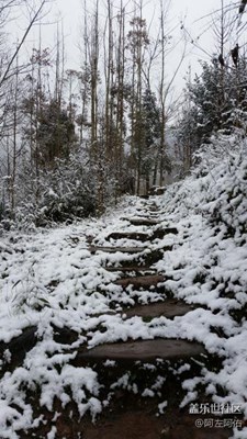 西岭雪山