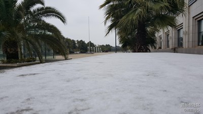 【2016/01/25】随手拍——春城雪来袭