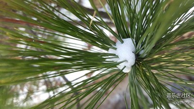 潭岭天湖雪记