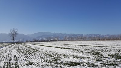 雪后的秦岭山下