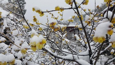 梅岭赏雪