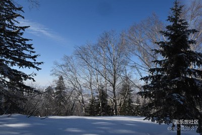 蓝天雪地