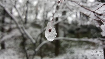 西湖雪景