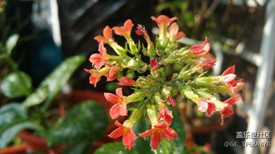 春节晒幸福
