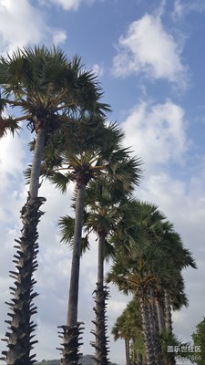 【春节晒幸福】+泰国+碧海蓝天