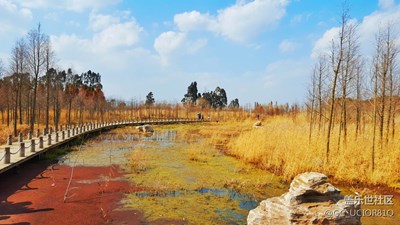 昆明东大河湿地公园随拍