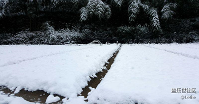 雪景