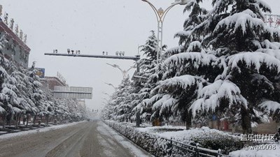 二月飞雪