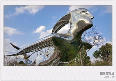 即将北归的海鸥