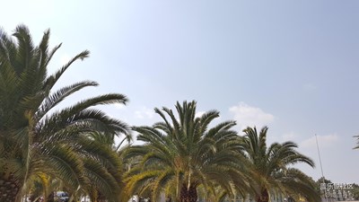 【2016/03/15】南国之风