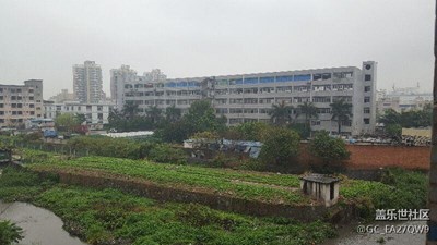 雨中春色