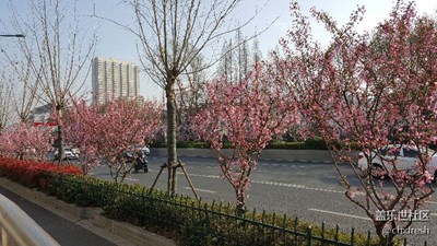 一路好风景