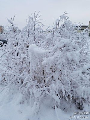 三月雪景