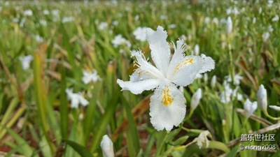 长沙·浔龙河踏青