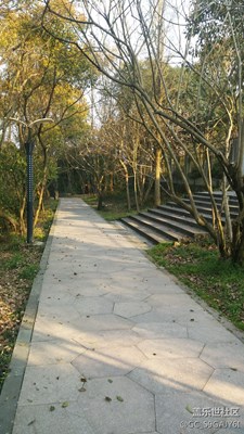 春季的山景