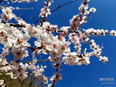 怀柔野长城随拍