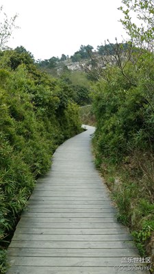 大罗山春季2