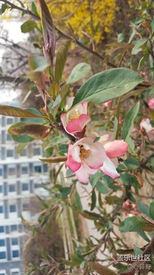 春暖花开