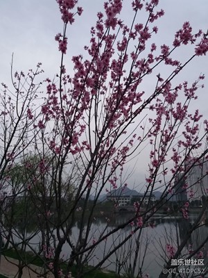 苍南