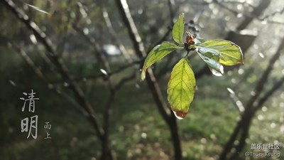 【开奖】摄影周赛活动第三期——【清明踏春游】