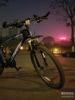夜