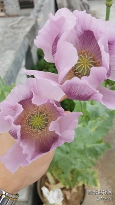 隨性！