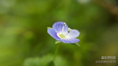 [清明踏春游]+黄冈+散花江滩春景