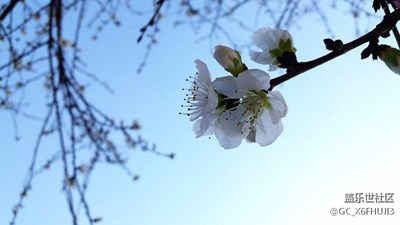 四月·初