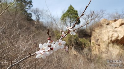 密云白河大峡谷春游